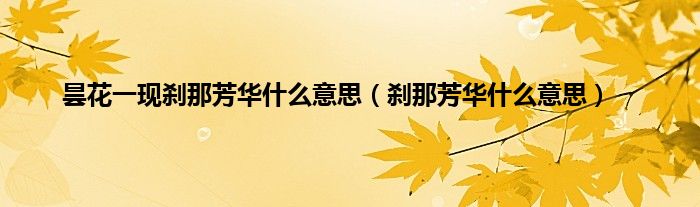 昙花一现刹那芳华什么意思（刹那芳华什么意思）