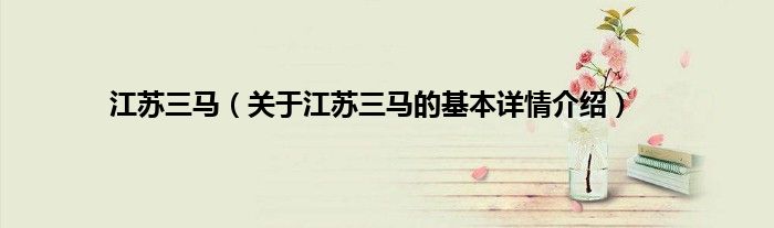 江苏三马（关于江苏三马的基本详情介绍）