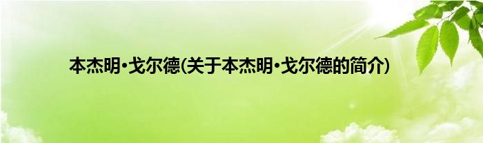 本杰明·戈尔德(关于本杰明·戈尔德的简介)
