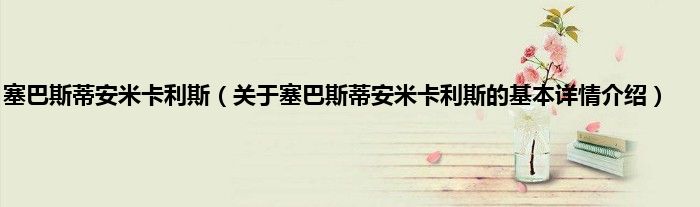 塞巴斯蒂安米卡利斯（关于塞巴斯蒂安米卡利斯的基本详情介绍）