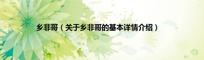 乡非哥（关于乡非哥的基本详情介绍）