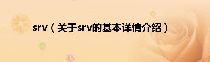 srv（关于srv的基本详情介绍）
