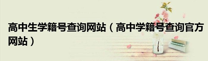 高中生学籍号查询网站（高中学籍号查询官方网站）