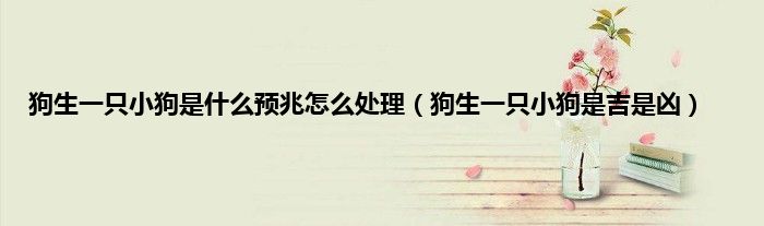 狗生一只小狗是什么预兆怎么处理（狗生一只小狗是吉是凶）