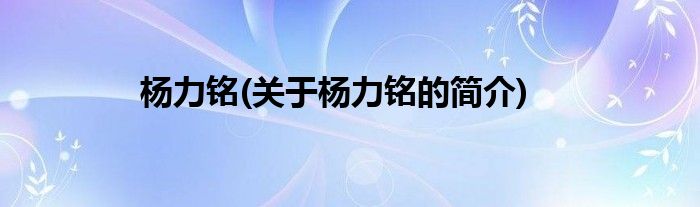 杨力铭(关于杨力铭的简介)