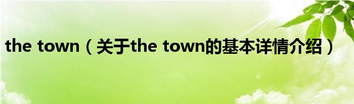 the town（关于the town的基本详情介绍）
