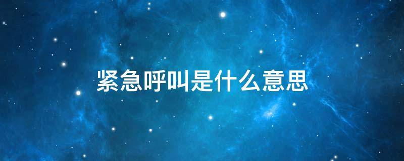 紧急呼叫是什么意思