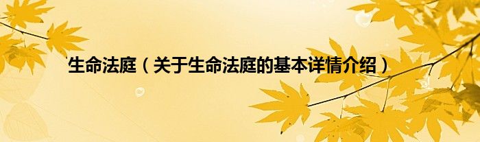 生命法庭（关于生命法庭的基本详情介绍）