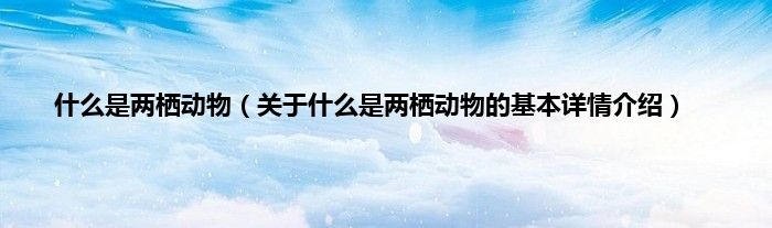 什么是两栖动物（关于什么是两栖动物的基本详情介绍）