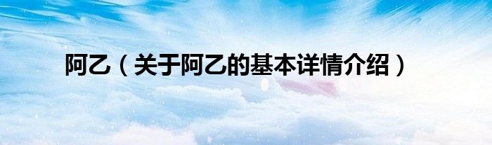 阿乙（关于阿乙的基本详情介绍）