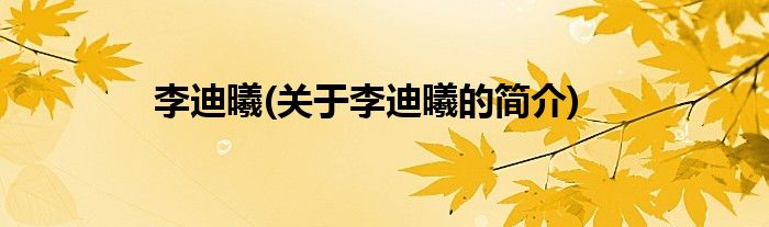 李迪曦(关于李迪曦的简介)