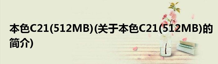 本色C21(512MB)(关于本色C21(512MB)的简介)