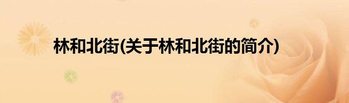 林和北街(关于林和北街的简介)