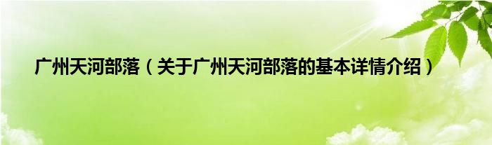 广州天河部落（关于广州天河部落的基本详情介绍）