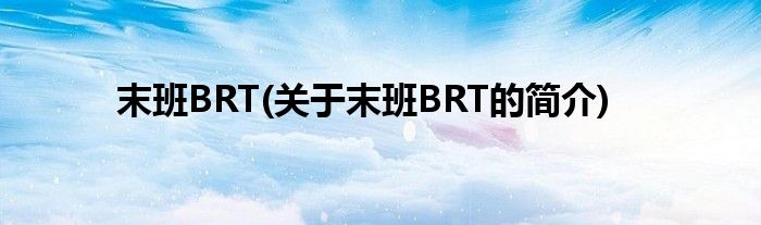 末班BRT(关于末班BRT的简介)