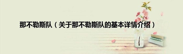 那不勒斯队（关于那不勒斯队的基本详情介绍）