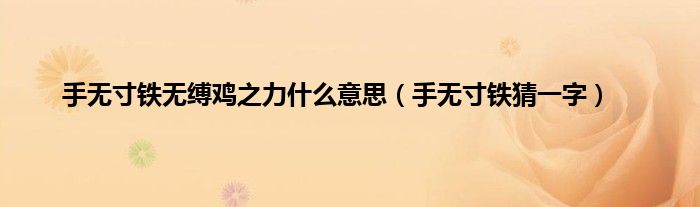 手无寸铁无缚鸡之力什么意思（手无寸铁猜一字）