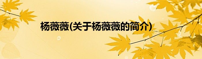 杨薇薇(关于杨薇薇的简介)