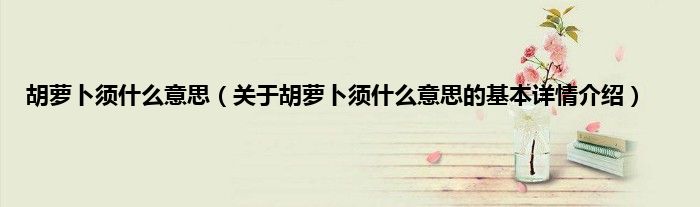 胡萝卜须什么意思（关于胡萝卜须什么意思的基本详情介绍）