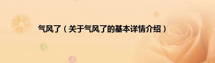 气风了（关于气风了的基本详情介绍）