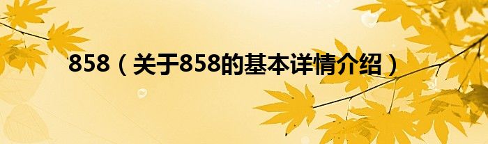 858（关于858的基本详情介绍）
