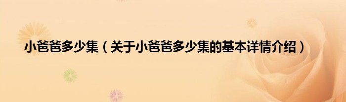 小爸爸多少集（关于小爸爸多少集的基本详情介绍）