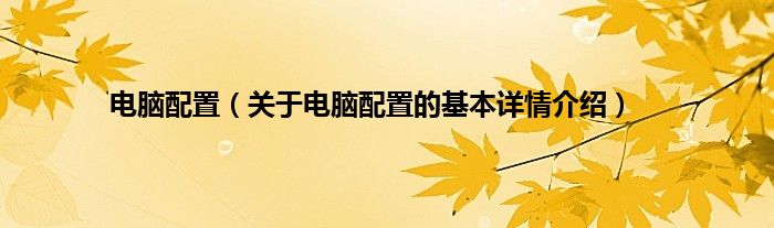 电脑配置（关于电脑配置的基本详情介绍）