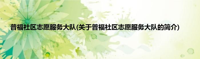 普福社区志愿服务大队(关于普福社区志愿服务大队的简介)