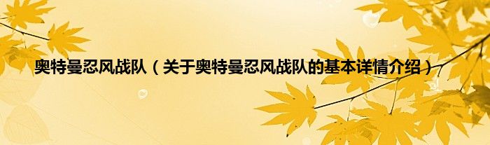 奥特曼忍风战队（关于奥特曼忍风战队的基本详情介绍）