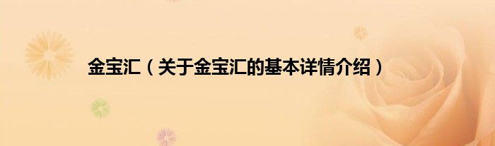 金宝汇（关于金宝汇的基本详情介绍）