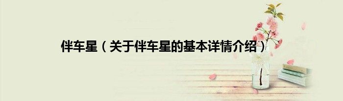 伴车星（关于伴车星的基本详情介绍）