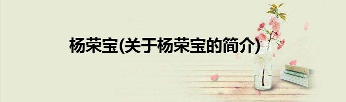 杨荣宝(关于杨荣宝的简介)