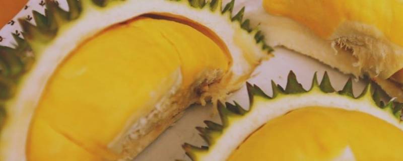 榴莲的柄断了有影响吗