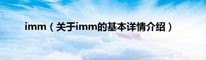 imm（关于imm的基本详情介绍）