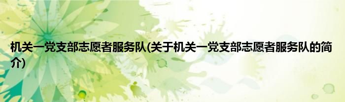 机关一党支部志愿者服务队(关于机关一党支部志愿者服务队的简介)