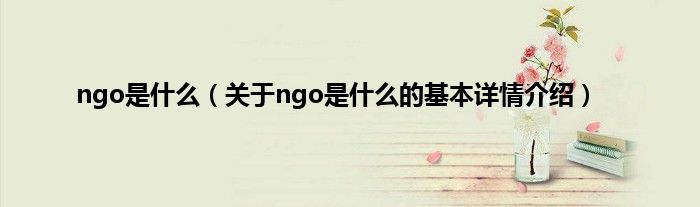 ngo是什么（关于ngo是什么的基本详情介绍）