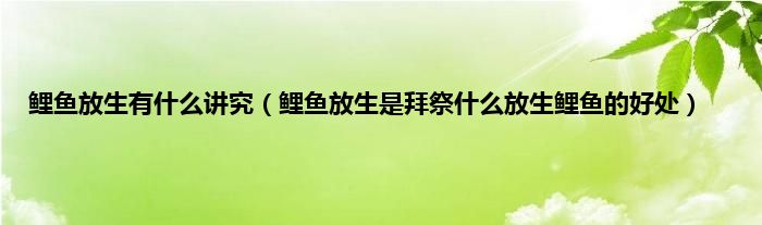 鲤鱼放生有什么讲究（鲤鱼放生是拜祭什么放生鲤鱼的好处）