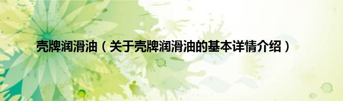 壳牌润滑油（关于壳牌润滑油的基本详情介绍）