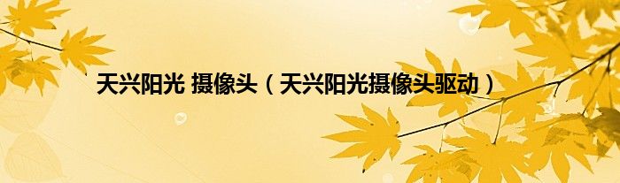 天兴阳光 摄像头（天兴阳光摄像头驱动）