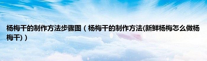 杨梅干的制作方法步骤图（杨梅干的制作方法(新鲜杨梅怎么做杨梅干)）