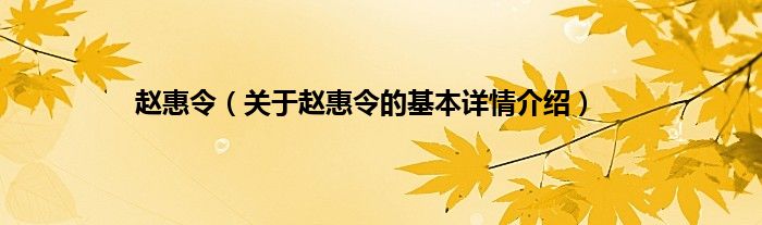赵惠令（关于赵惠令的基本详情介绍）