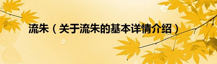 流朱（关于流朱的基本详情介绍）