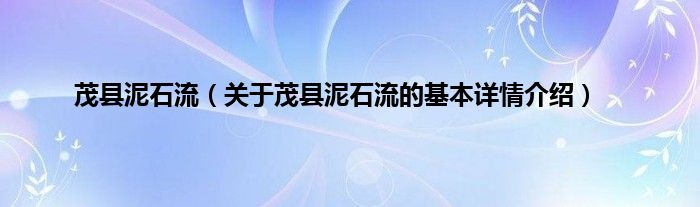 茂县泥石流（关于茂县泥石流的基本详情介绍）