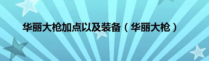 华丽大枪加点以及装备（华丽大枪）