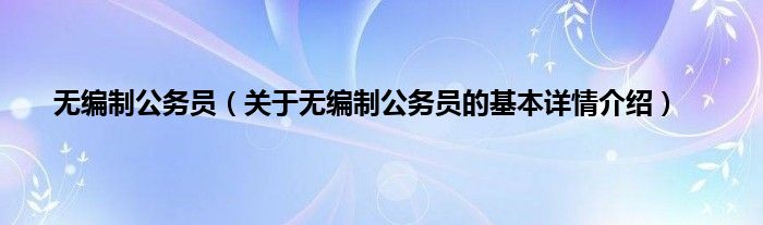 无编制公务员（关于无编制公务员的基本详情介绍）