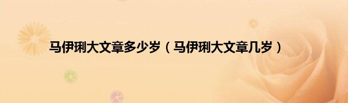 马伊琍大文章多少岁（马伊琍大文章几岁）