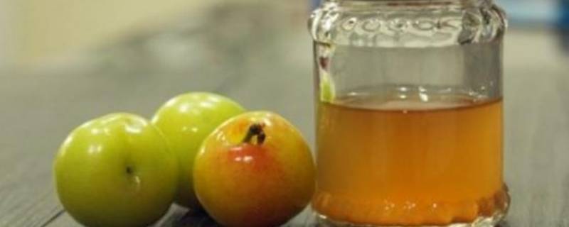 李子酒发酵多长时间