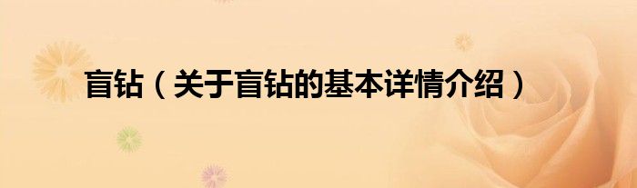 盲钻（关于盲钻的基本详情介绍）
