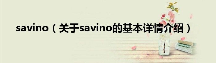 savino（关于savino的基本详情介绍）