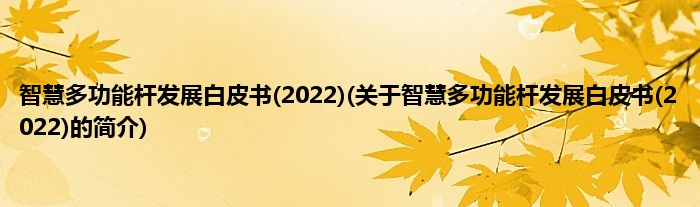 智慧多功能杆发展白皮书(2022)(关于智慧多功能杆发展白皮书(2022)的简介)
